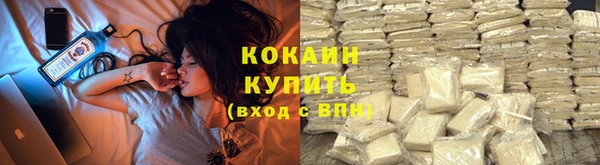 метадон Инта