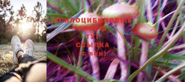 мяу мяу мука Михайлов
