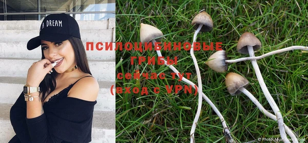 mix Михайловск